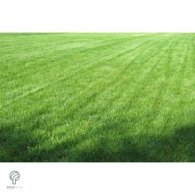 Performance - ICL Landscaper Pro fűmagkeverék