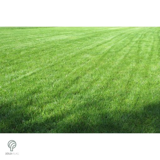 Performance - ICL Landscaper Pro fűmagkeverék