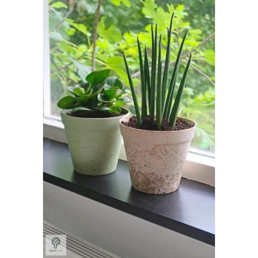 Környezetbarát virágtartó - barna