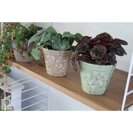 Környezetbarát virágtartó - barna