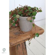 Környezetbarát virágtartó - szürke