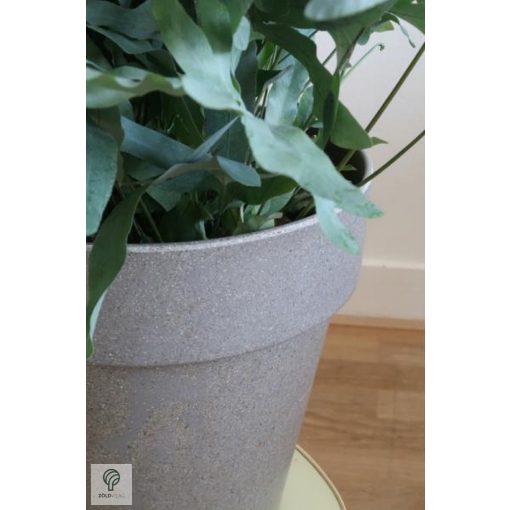 Környezetbarát virágtartó - szürke