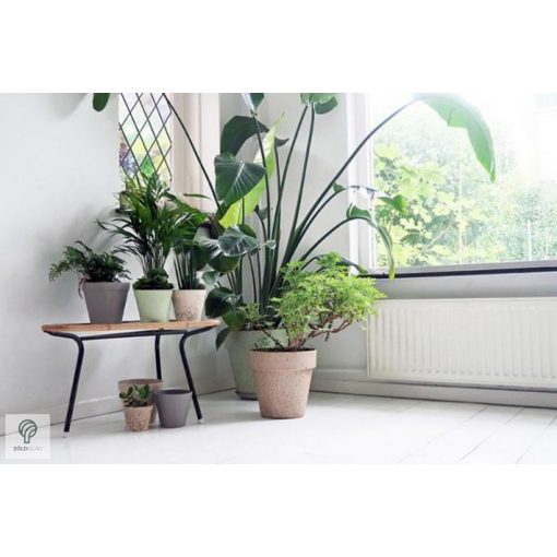 Környezetbarát virágtartó - szürke