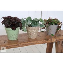 Környezetbarát virágtartó - szürke