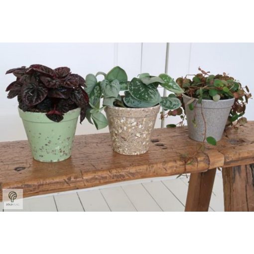 Környezetbarát virágtartó - szürke