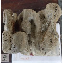 Anyag - Antianyag küzdelme