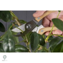 Metszőolló és kacorkés készlet - díszdobozban