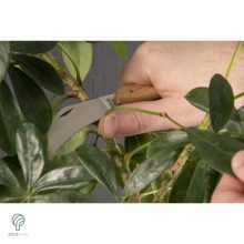 Metszőolló és kacorkés készlet - díszdobozban