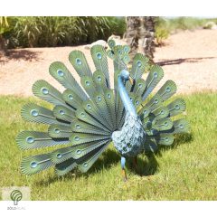 PEACOCK, magyarul páva figura, díszkertben