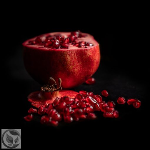 Gránátalma / Punica granatum 