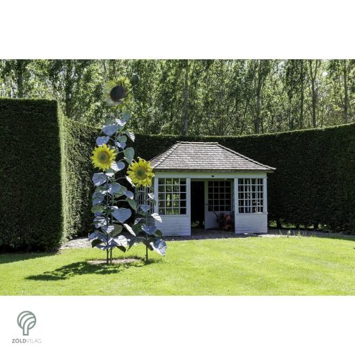 Oszlopos tiszafa / Taxus x media 