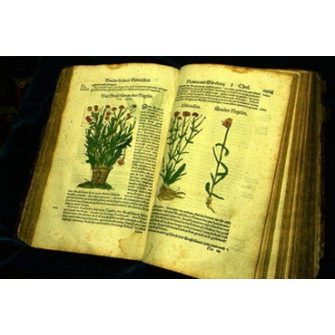 Dísznövényismereti szakkönyveink
