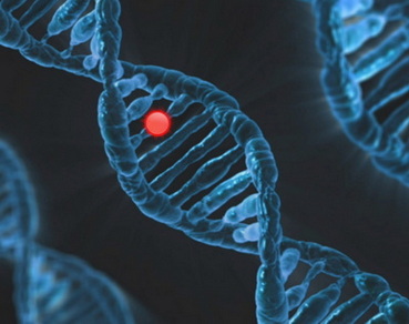 dna