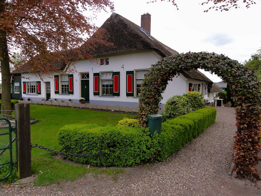 hedge-in-netherlands