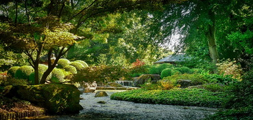 hill-japangarden-bach