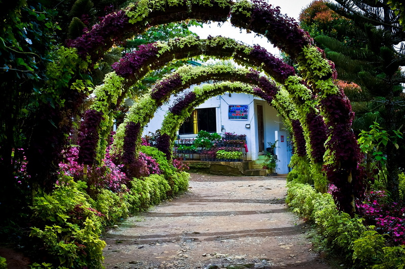 pathway