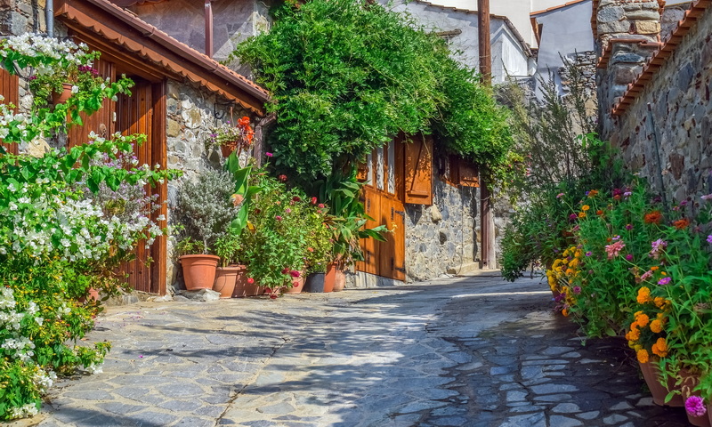 street-and-decorplants