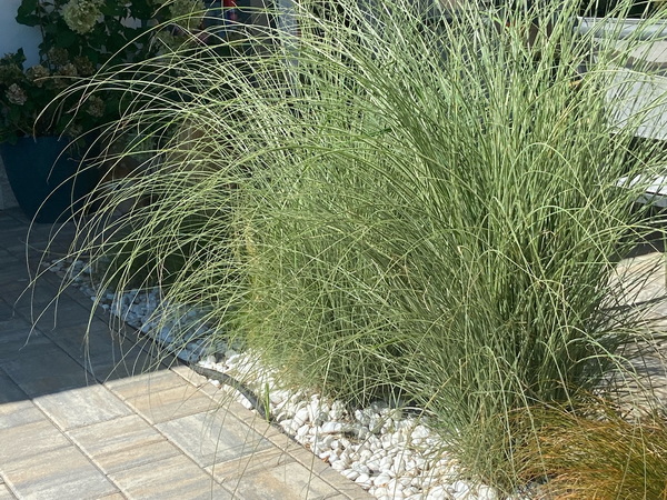 sukoroi-szallitasunk-es-ultetesunk-2022-nyar-image