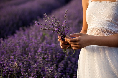summer-lavender