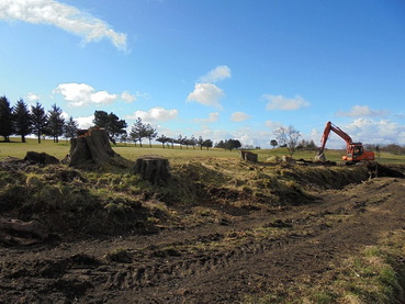 trees-felling