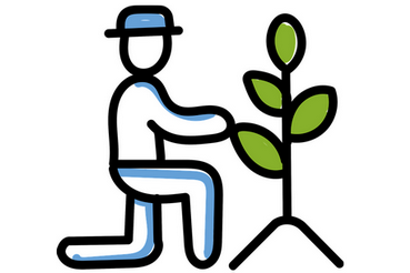 plant-sowing