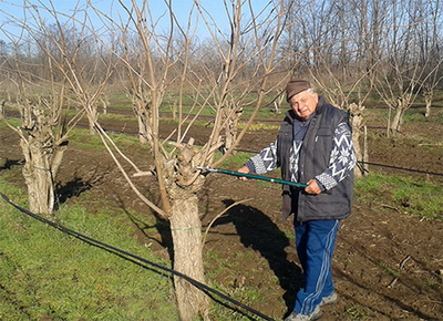 agvagoval-juhasz-janos-bodzat-metsz