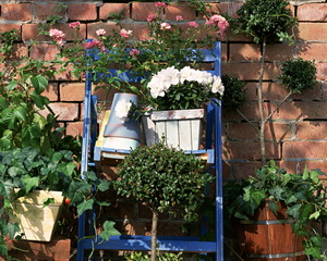 diszkert-FGP-1465-garden-corner
