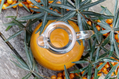 hippophae-rhamnoides-homoktovis-sea-buckthorn