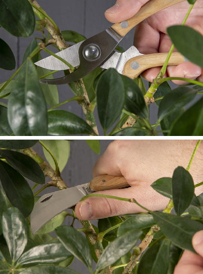 metszo-keszlet-hasznalatban