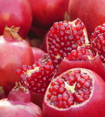 punica-granatum_pomegranate-fruits